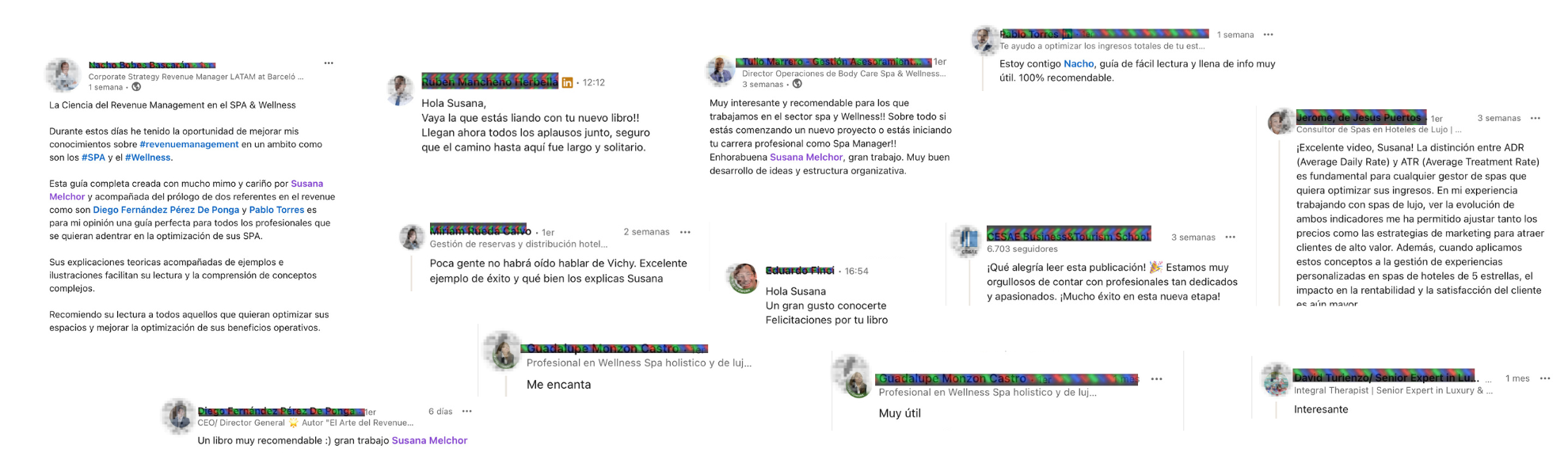 Opiniones profesionales LinkedIn libros Spa Wellness Revenue Management